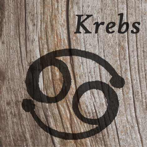 Krebs