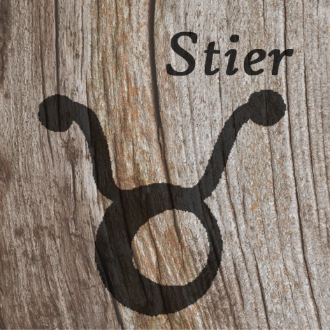 Stier