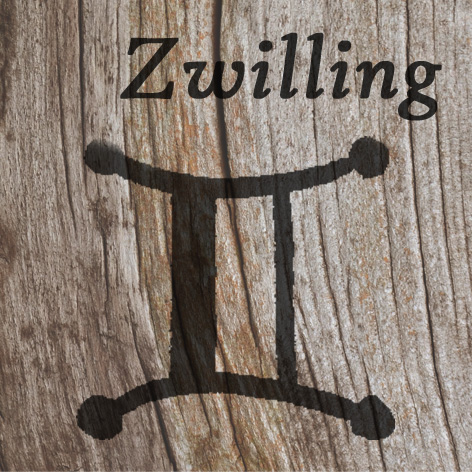 Zwillinge